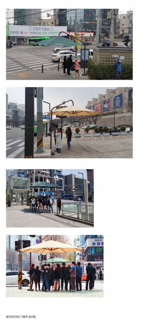 요즘 횡단보도에 점점 생겨나고 있는거.jpg