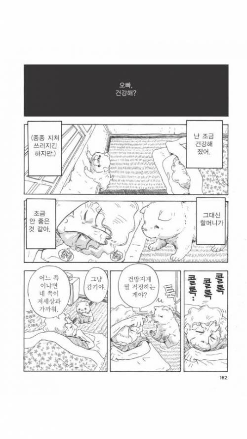 [스압]개를 주워오면 안되는 이유