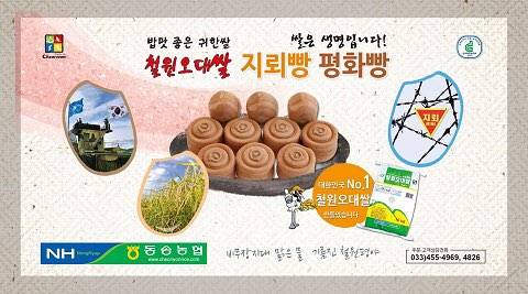 강원도 철원 특산물 근황