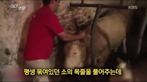 소찡...jpg
