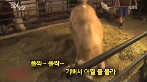 소찡...jpg