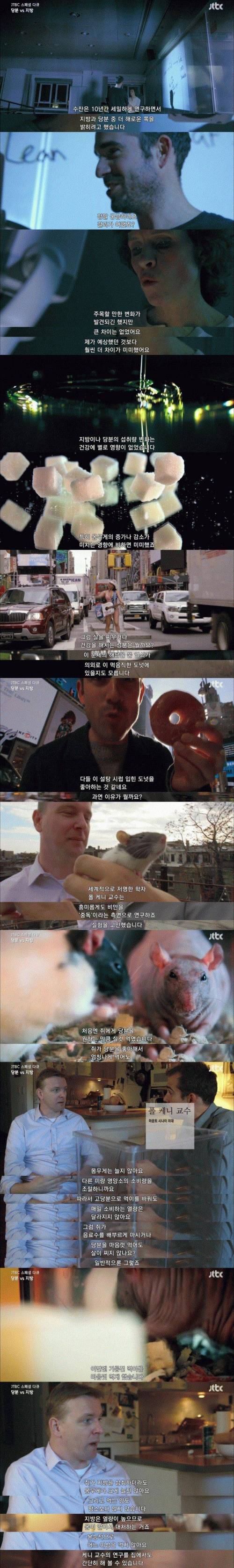 당분과 지방 뭐가 더 해로울까?