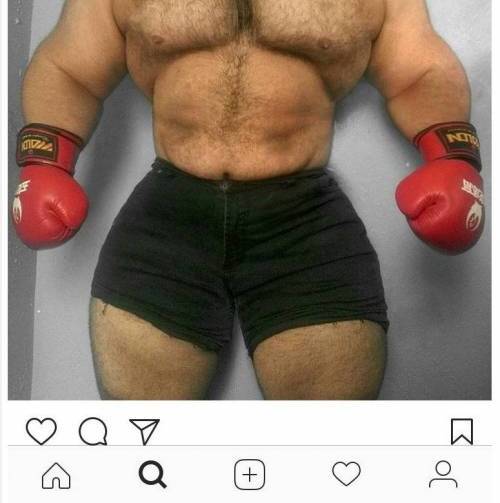 헐크실사판.jpg