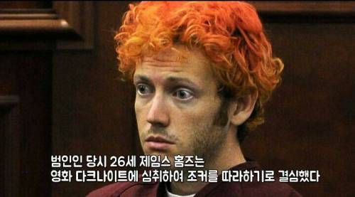 조커 따라한 남자 판결문