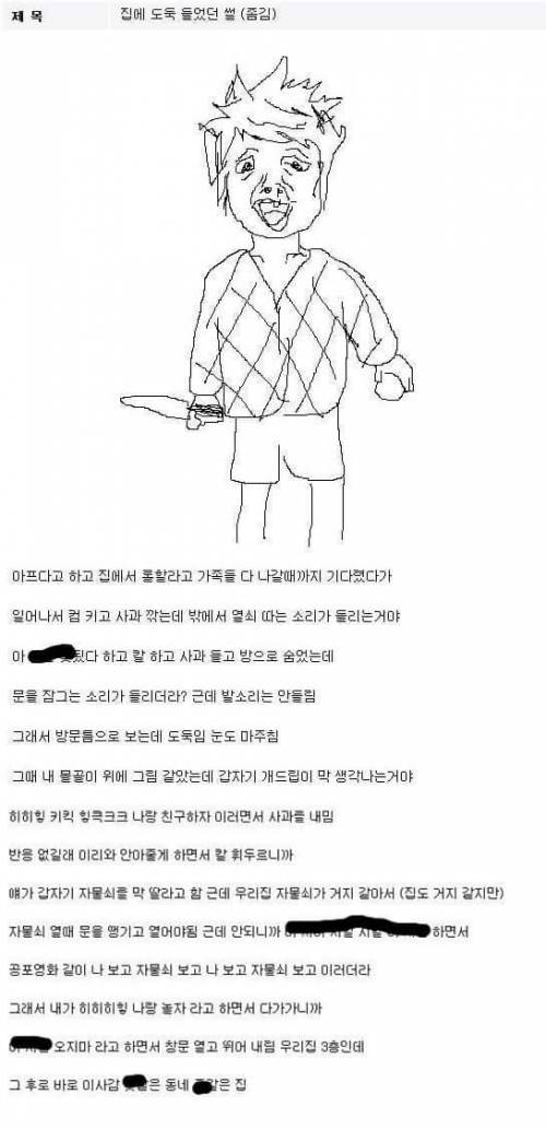 집에 도둑 들었던 썰
