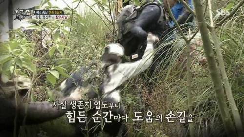 기사 제목 낚시.jpg