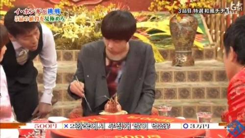 솔직한 폭격기.jpg