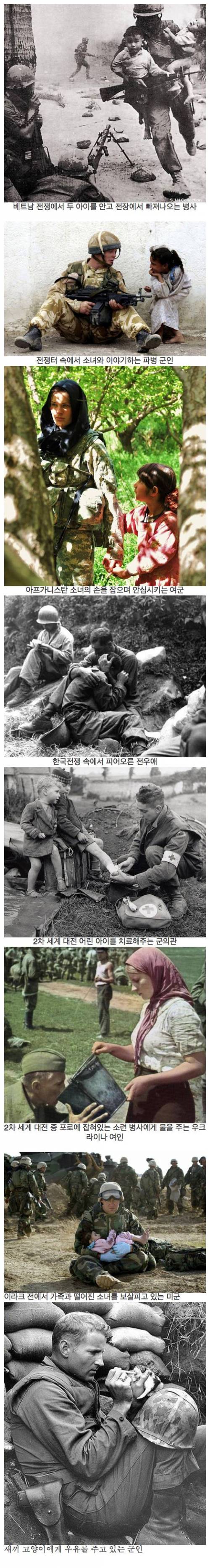 전쟁의 폭력 속에서도 피어나는 인간애
