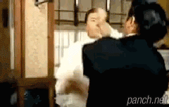 인간 vs 고양이.gif