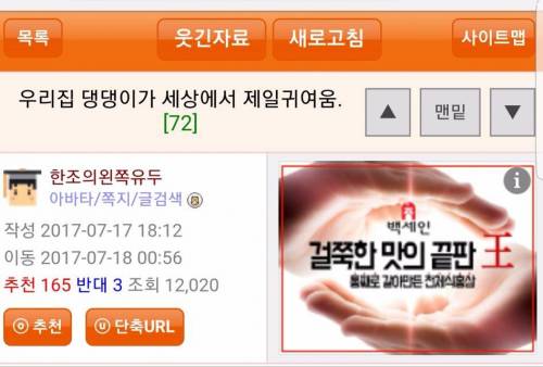멍뭉이 자랑하다가 욕먹은 어머니.jpg