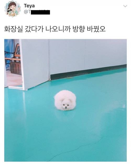 누가 복도에 흰빵 떨구고감.jpg