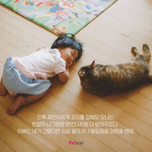 아기와 고양이, 그 교감의 단계 ..