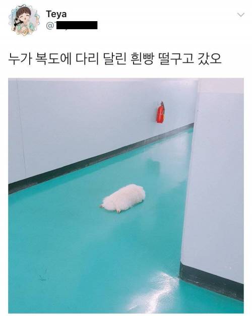 누가 복도에 흰빵 떨구고감.jpg