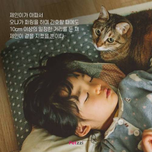 아기와 고양이, 그 교감의 단계 ..