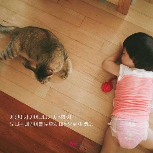 아기와 고양이, 그 교감의 단계 ..