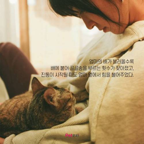 아기와 고양이, 그 교감의 단계 ..