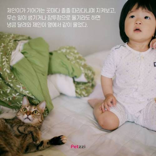 아기와 고양이, 그 교감의 단계 ..