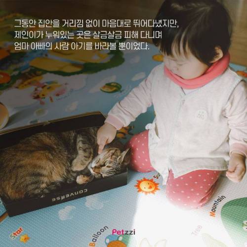 아기와 고양이, 그 교감의 단계 ..