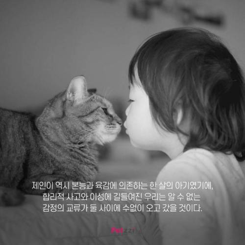 아기와 고양이, 그 교감의 단계 ..