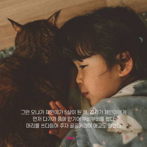 아기와 고양이, 그 교감의 단계 ..