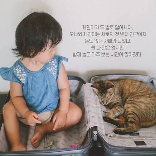 아기와 고양이, 그 교감의 단계 ..