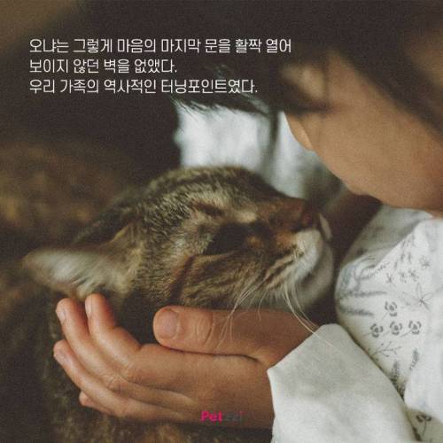 아기와 고양이, 그 교감의 단계 ..