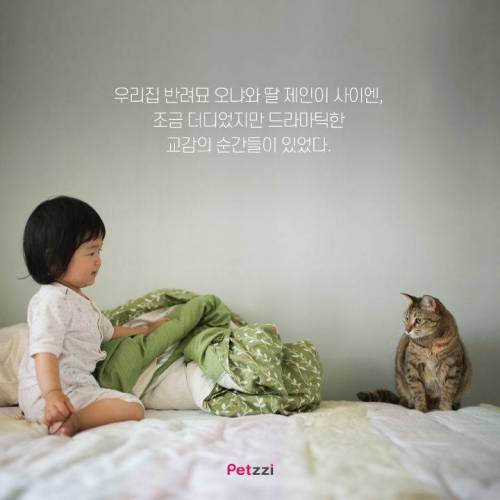 아기와 고양이, 그 교감의 단계 ..