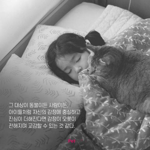 아기와 고양이, 그 교감의 단계 ..