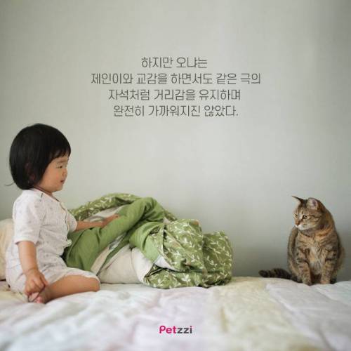 아기와 고양이, 그 교감의 단계 ..