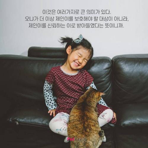아기와 고양이, 그 교감의 단계 ..