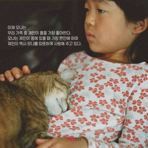 아기와 고양이, 그 교감의 단계 ..