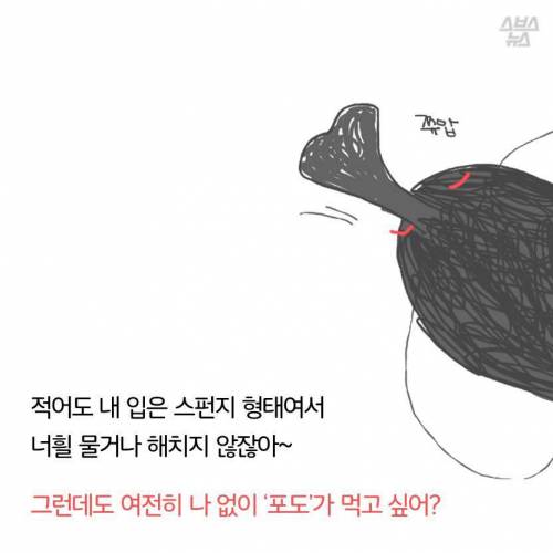 초파리, 도대체 어디에서 날아오는 것일까.jpg