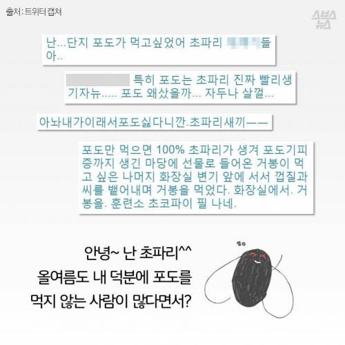 초파리, 도대체 어디에서 날아오는 것일까.jpg