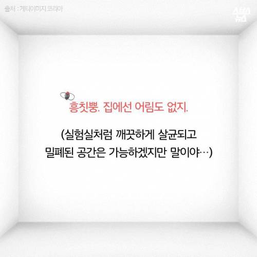 초파리, 도대체 어디에서 날아오는 것일까.jpg