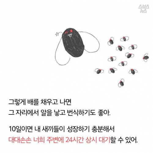 초파리, 도대체 어디에서 날아오는 것일까.jpg