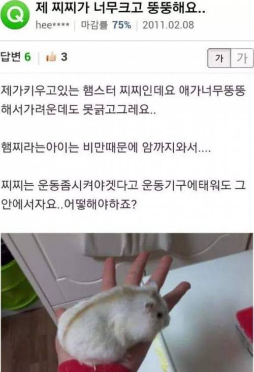 제 찌찌가 너무크고 뚱뚱해서 고민이에요.jpg