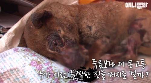 처음엔 괴물인 줄 알았어요