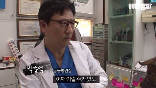 처음엔 괴물인 줄 알았어요
