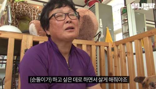 처음엔 괴물인 줄 알았어요