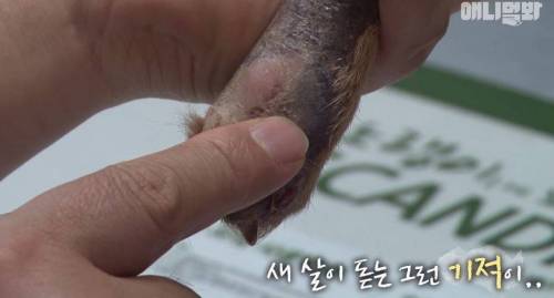 처음엔 괴물인 줄 알았어요