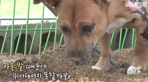 처음엔 괴물인 줄 알았어요