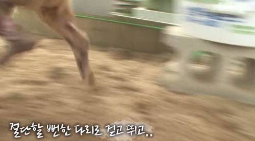 처음엔 괴물인 줄 알았어요