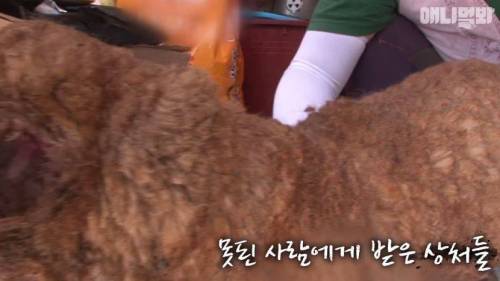처음엔 괴물인 줄 알았어요
