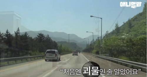처음엔 괴물인 줄 알았어요