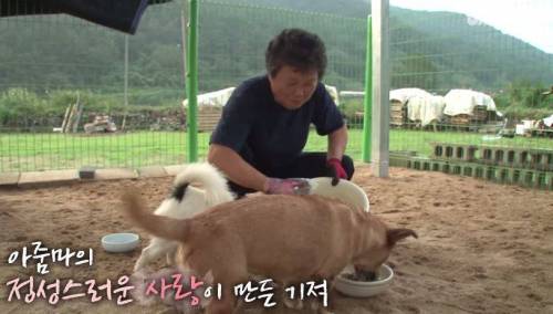 처음엔 괴물인 줄 알았어요