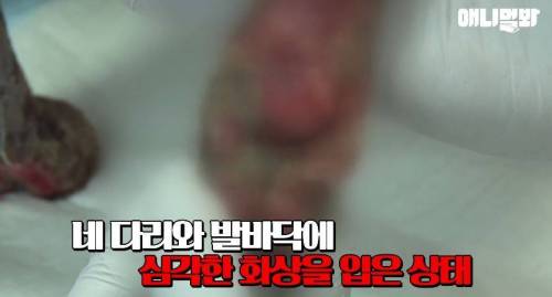처음엔 괴물인 줄 알았어요