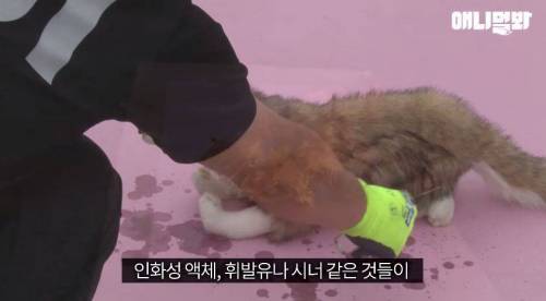 처음엔 괴물인 줄 알았어요
