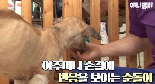 처음엔 괴물인 줄 알았어요