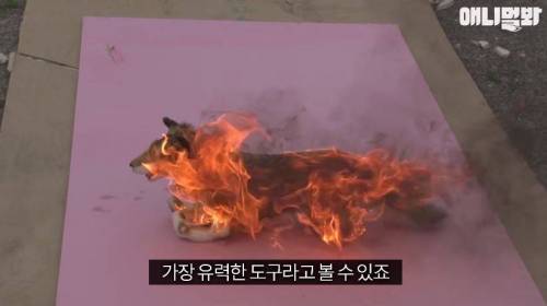 처음엔 괴물인 줄 알았어요