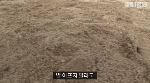 처음엔 괴물인 줄 알았어요
